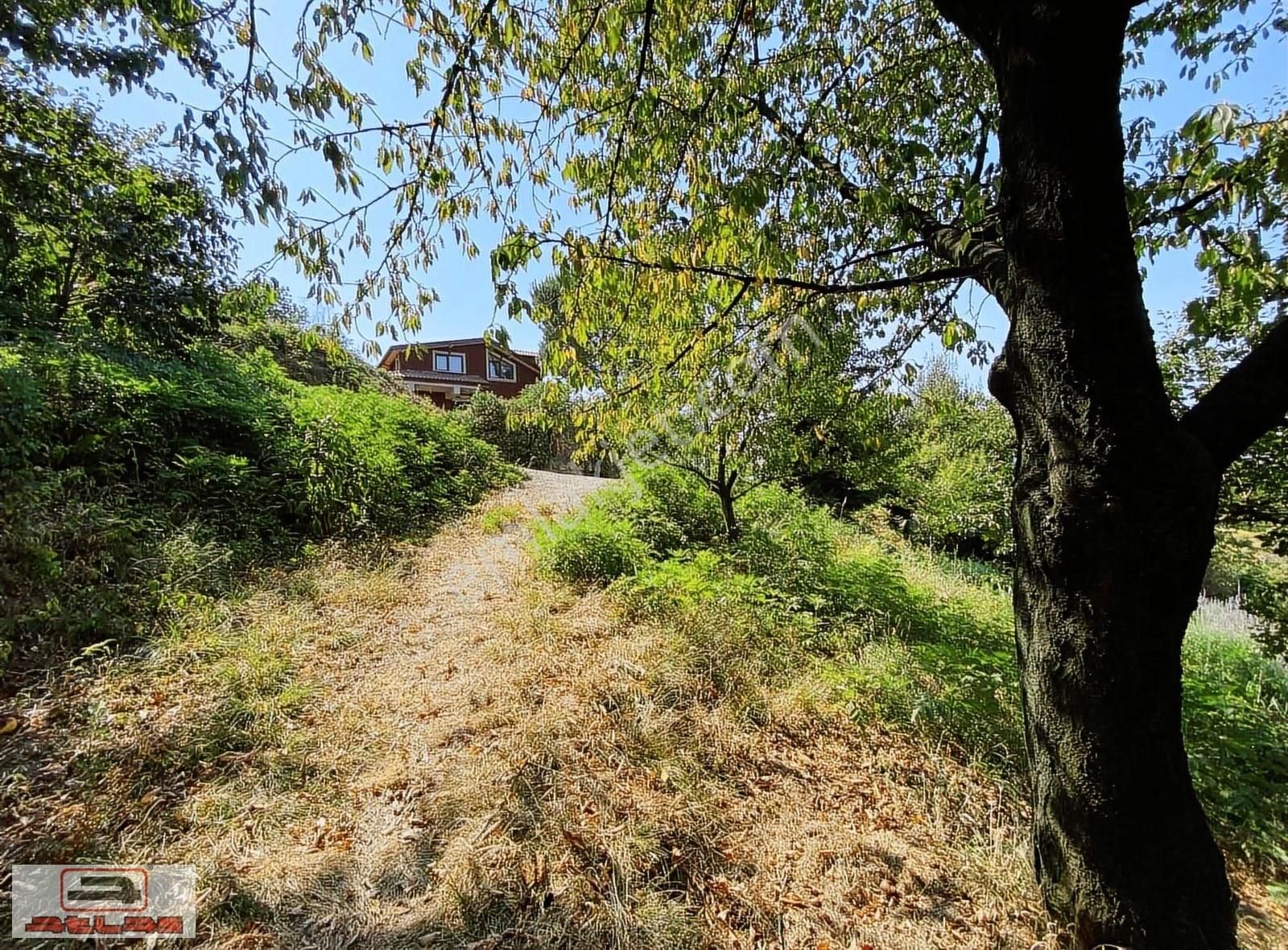 Atlas Emlak Kartepe Nusretiye Satılık Arsa - Görsel 13