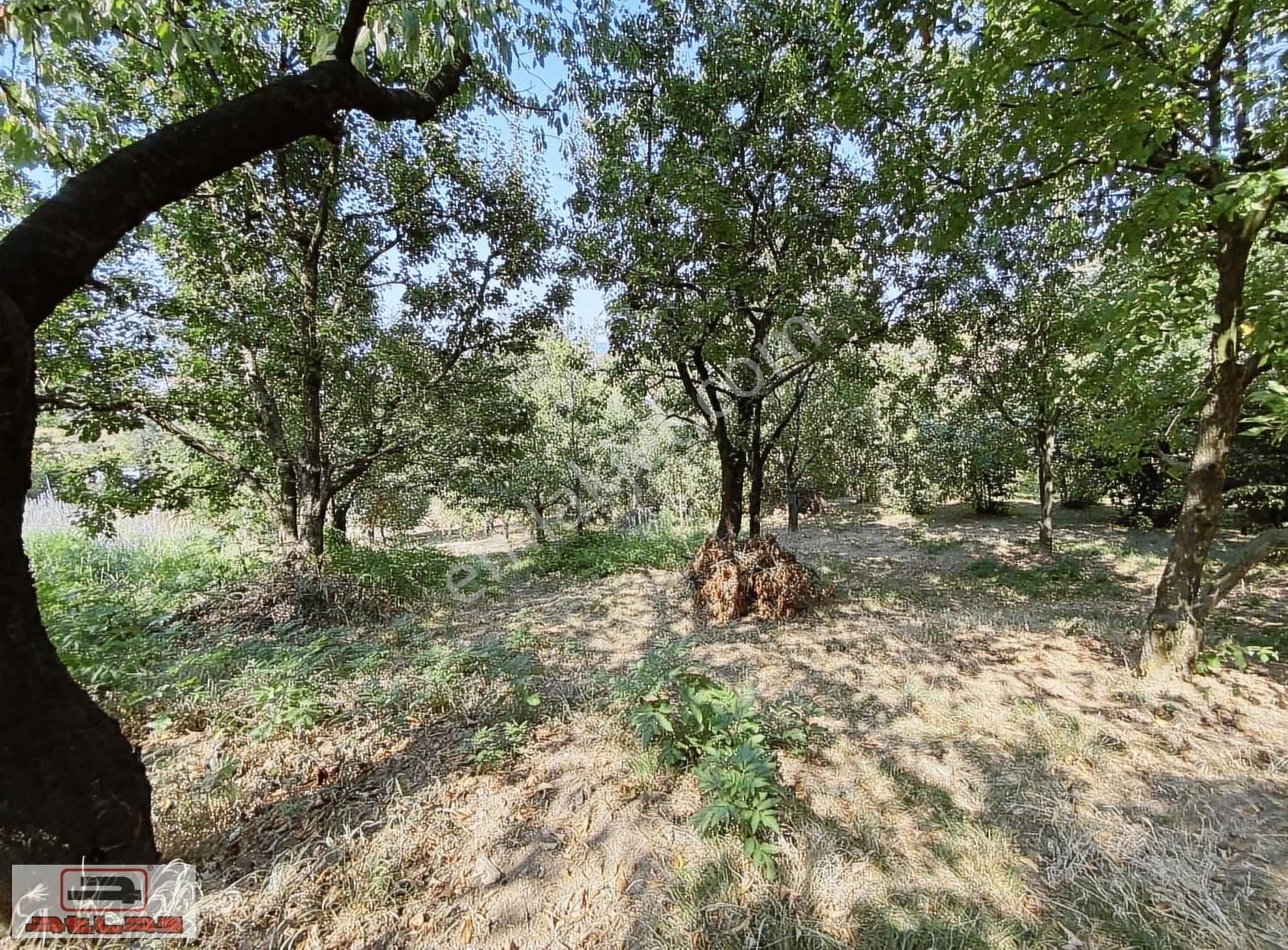 Atlas Emlak Kartepe Nusretiye Satılık Arsa - Görsel 24