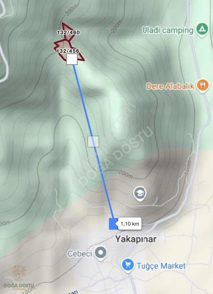 Doğa Dostu'ndan Bayındır Yakapınar 19 Dönüm Zeytinlik - Görsel 33