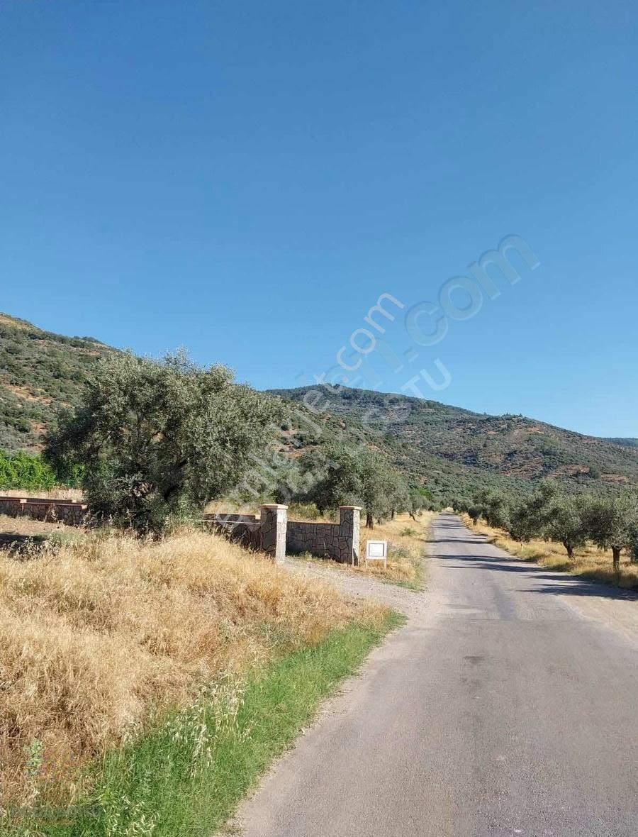 Doğa Dostu'ndan Bayındır Yakapınar 19 Dönüm Zeytinlik - Görsel 18