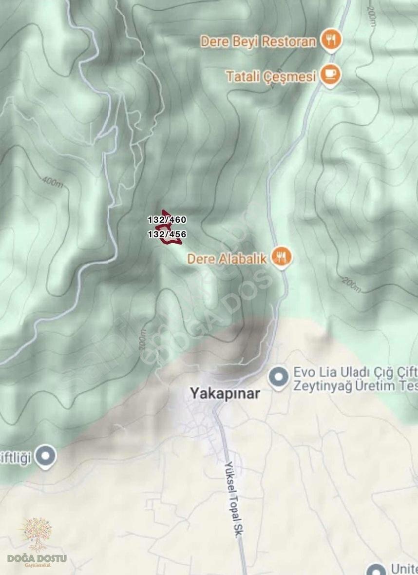 Doğa Dostu'ndan Bayındır Yakapınar 19 Dönüm Zeytinlik - Görsel 26