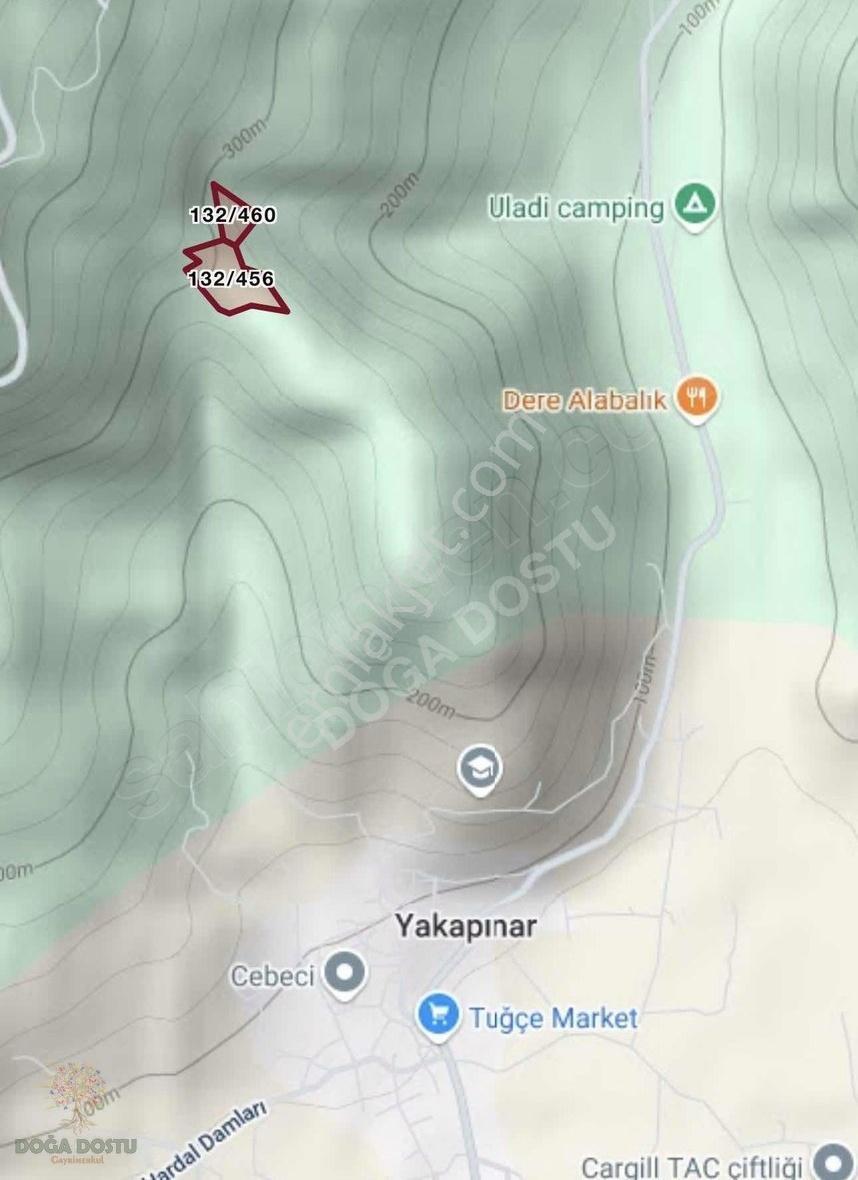 Doğa Dostu'ndan Bayındır Yakapınar 19 Dönüm Zeytinlik - Görsel 14