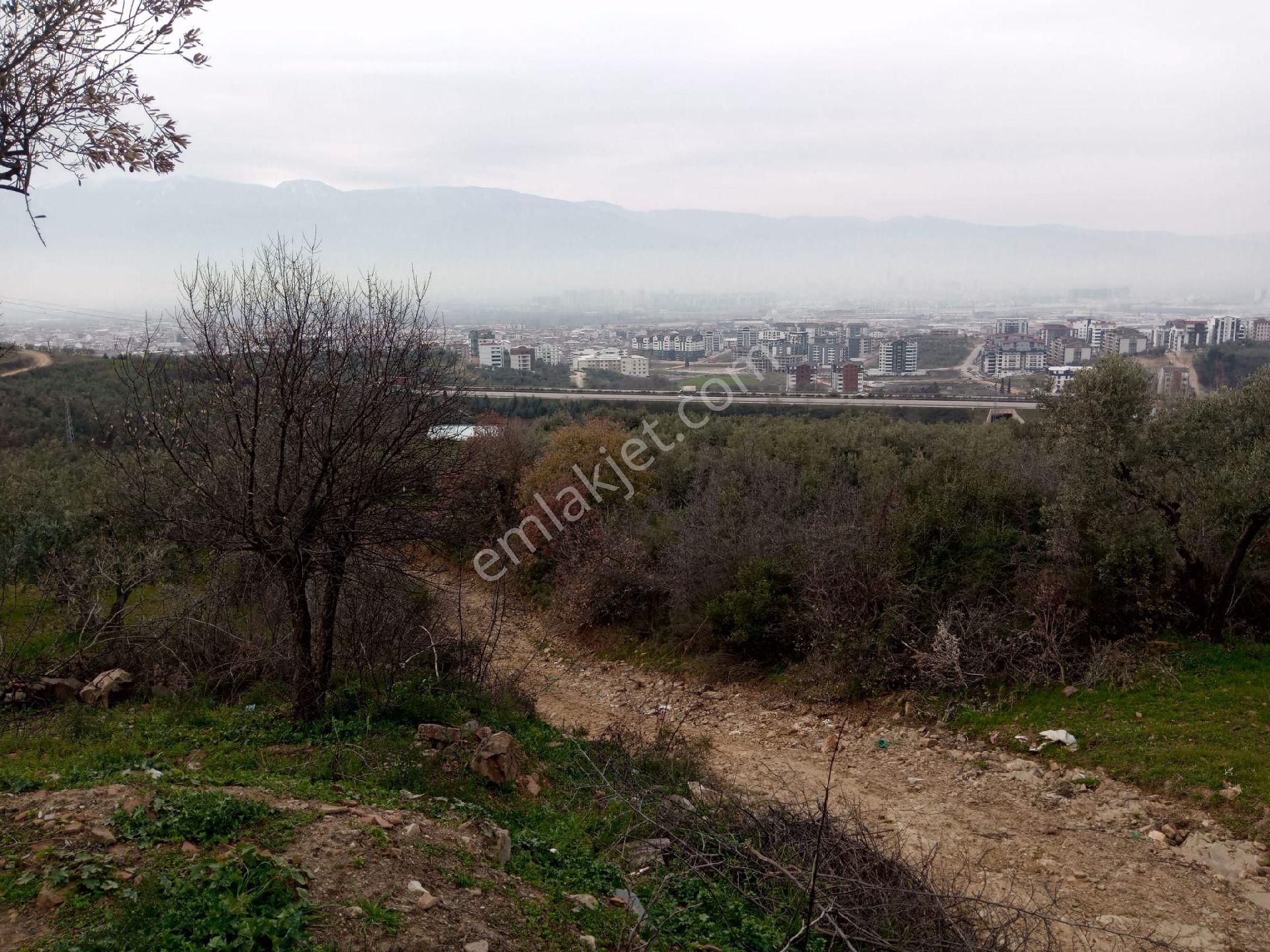 Relax Tr'den Satılık Müstakil Tapulu Tarla - Görsel 5