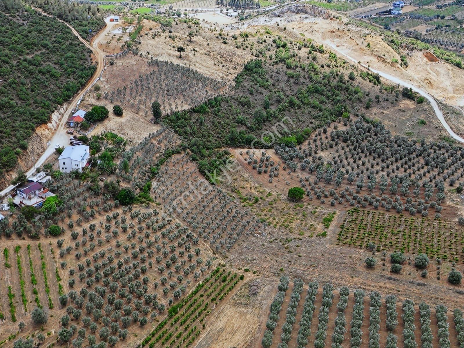 Mert Gayrimenkul'den Karapınar Mahallesi'nde Yatırımlık Tarla - Görsel 17