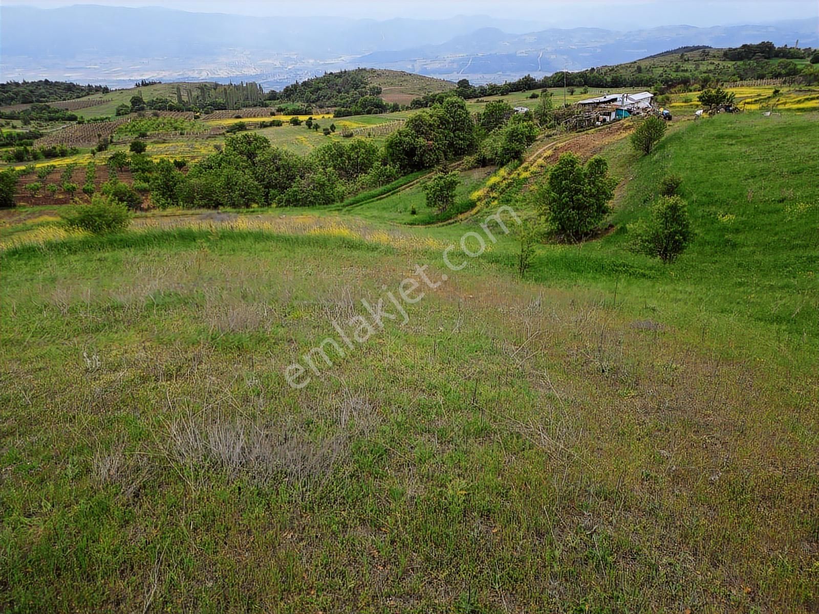 Satılık Arsa Sakarya Pamukova Akçakaya Mahallesi - Görsel 11
