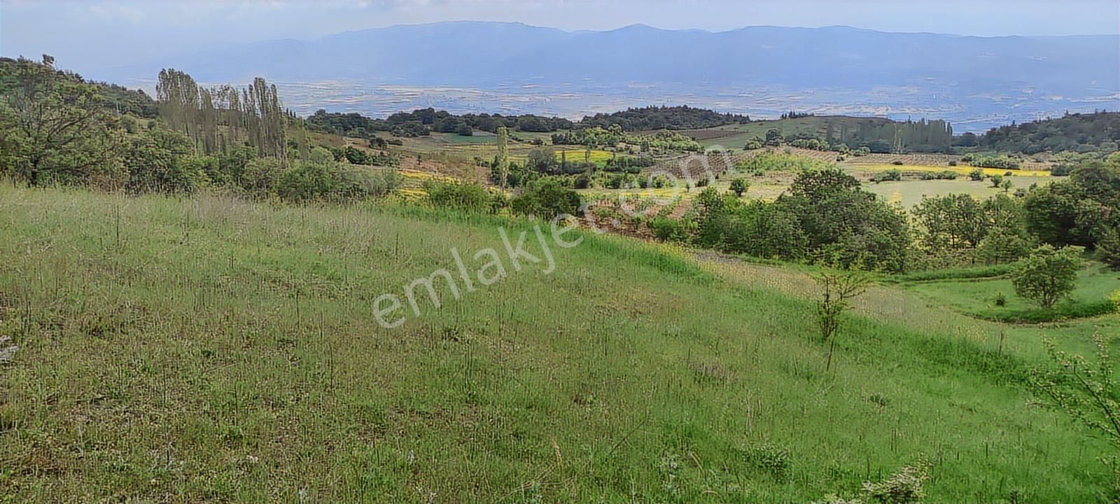 Satılık Arsa Sakarya Pamukova Akçakaya Mahallesi - Görsel 13