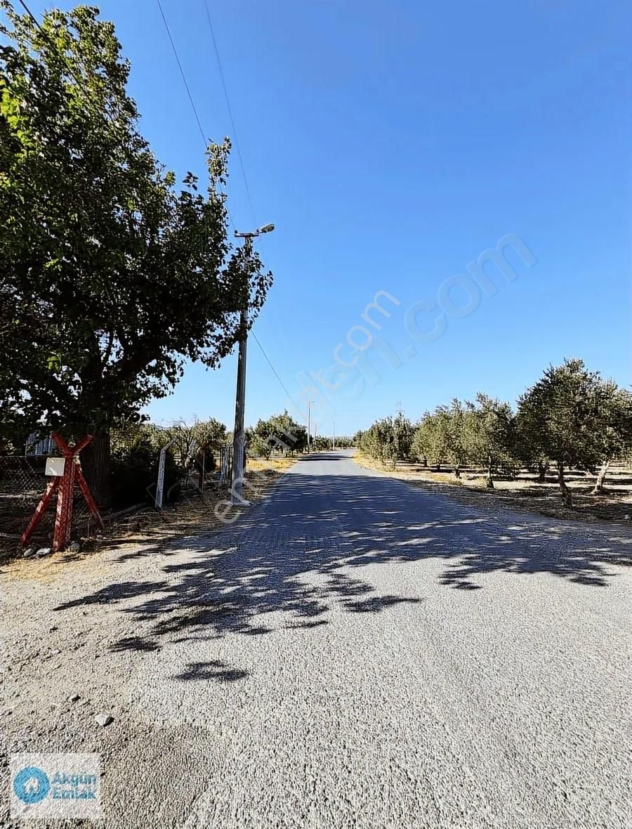 Süleymanlı Mah. Cezaevi Yoluna 50 M Tek Tapu 2220 M2 Zeytinlik - Görsel 11