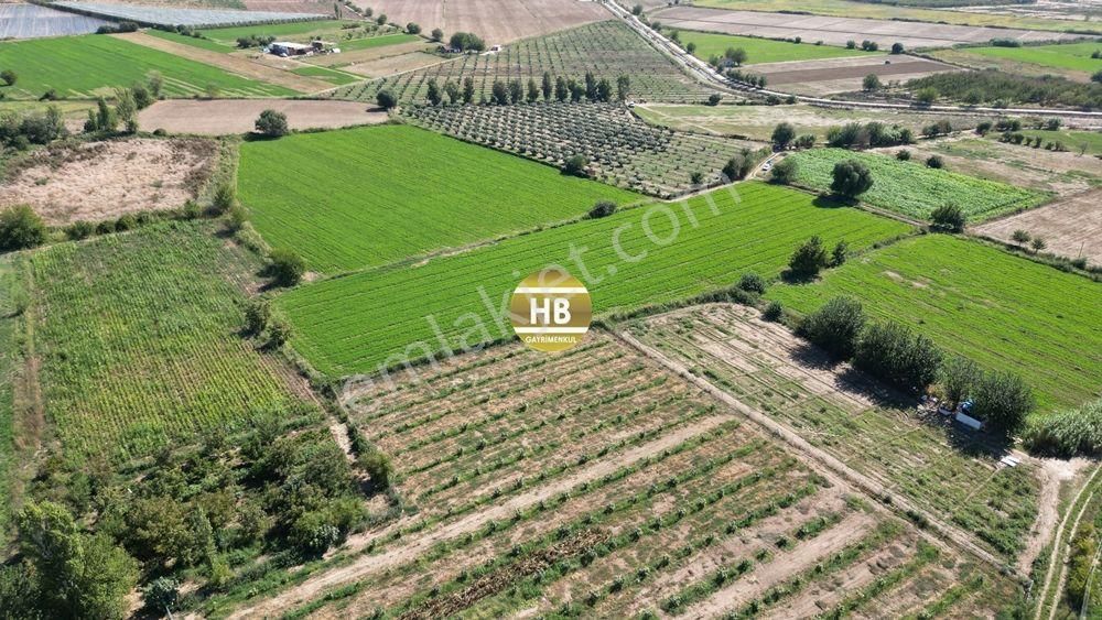 Hb'den Satılık Tarla, Kullanıma Hazır,iyi Lokasyonda Verimli Toprak, Müstakil Tapulu 12292 M² - Görsel 4