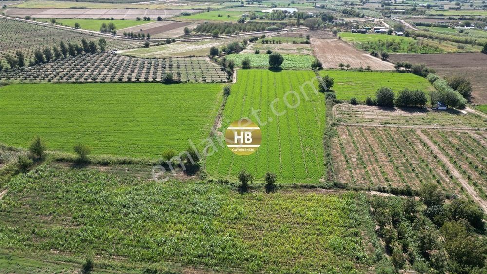 Hb'den Satılık Tarla, Kullanıma Hazır,iyi Lokasyonda Verimli Toprak, Müstakil Tapulu 12292 M² - Görsel 2