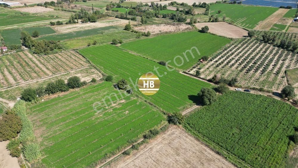 Hb'den Satılık Tarla, Kullanıma Hazır,iyi Lokasyonda Verimli Toprak, Müstakil Tapulu 12292 M² - Görsel 5