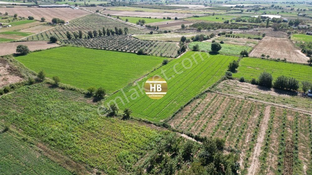 Hb'den Satılık Tarla, Kullanıma Hazır,iyi Lokasyonda Verimli Toprak, Müstakil Tapulu 12292 M² - Görsel 3