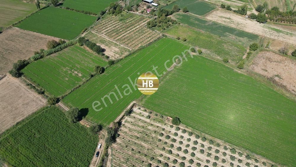 Hb'den Satılık Tarla, Kullanıma Hazır,iyi Lokasyonda Verimli Toprak, Müstakil Tapulu 12292 M² - Görsel 7