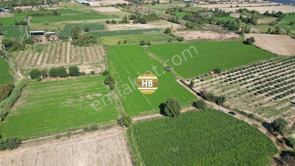 Hb'den Satılık Tarla, Kullanıma Hazır,iyi Lokasyonda Verimli Toprak, Müstakil Tapulu 12292 M² - Görsel 6