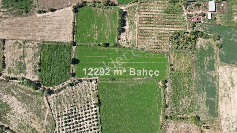 Hb'den Satılık Tarla, Kullanıma Hazır,iyi Lokasyonda Verimli Toprak, Müstakil Tapulu 12292 M² - Görsel 8
