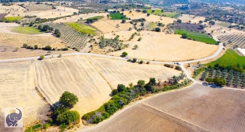 Çanakkale Civler Köyünde Yola Cepheli 13.500 M² Satılık Arazi