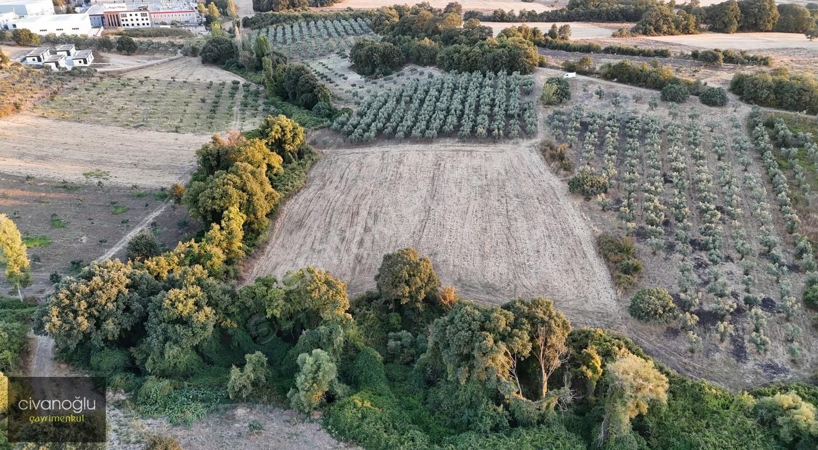 Nilüfer Akçalar'da Sanayi Dibinde Yatırımlık Özel Arazi
