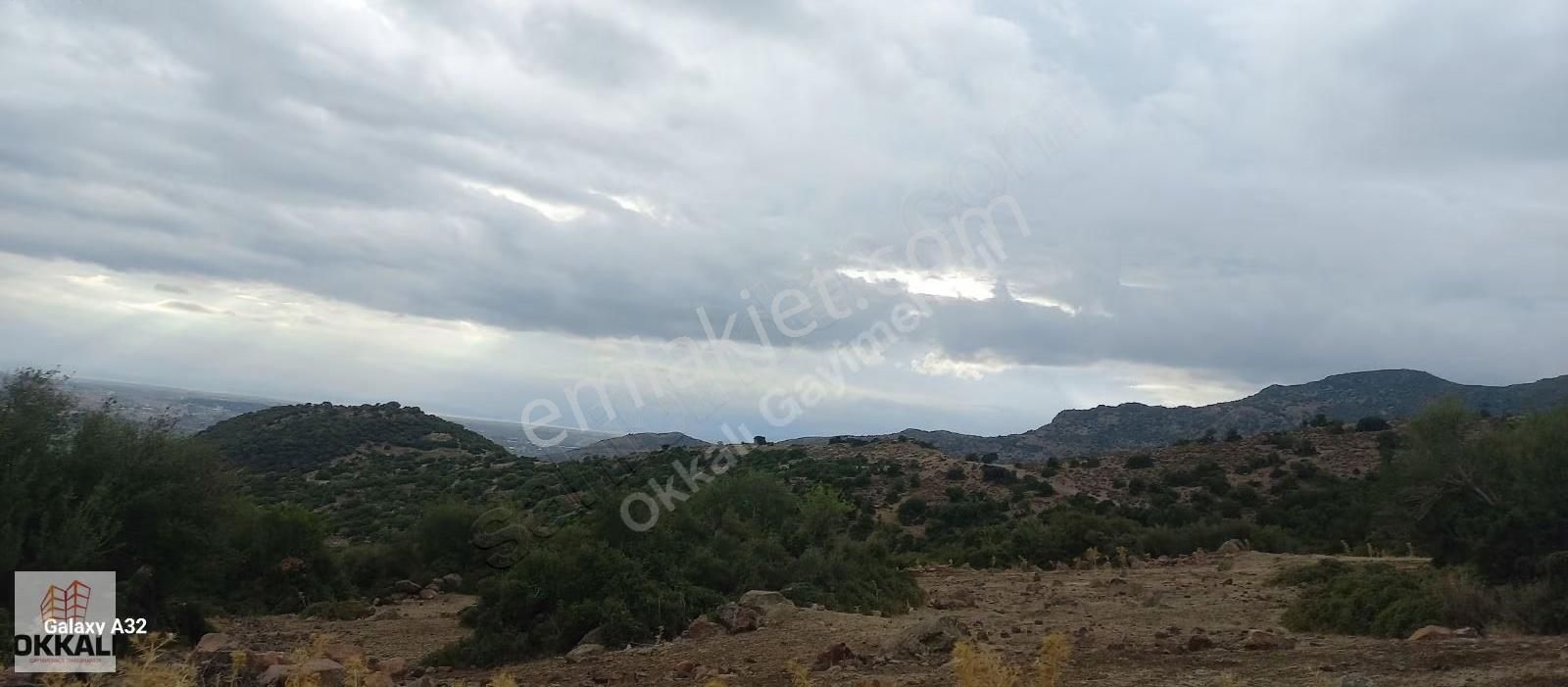 Okkalı Emlak Tan Menemen Hasanlar Da Satılık Arazi - Görsel 11