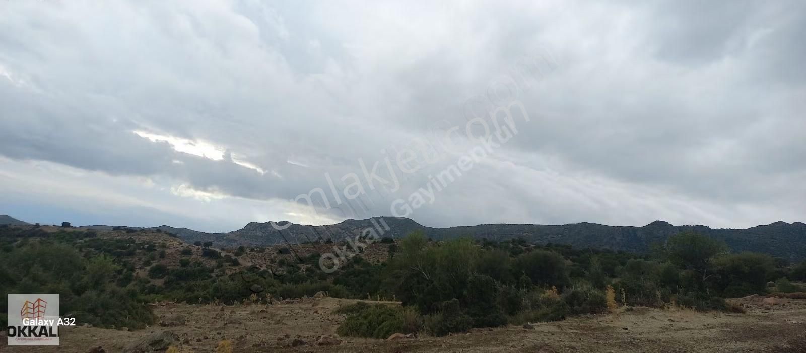 Okkalı Emlak Tan Menemen Hasanlar Da Satılık Arazi - Görsel 5