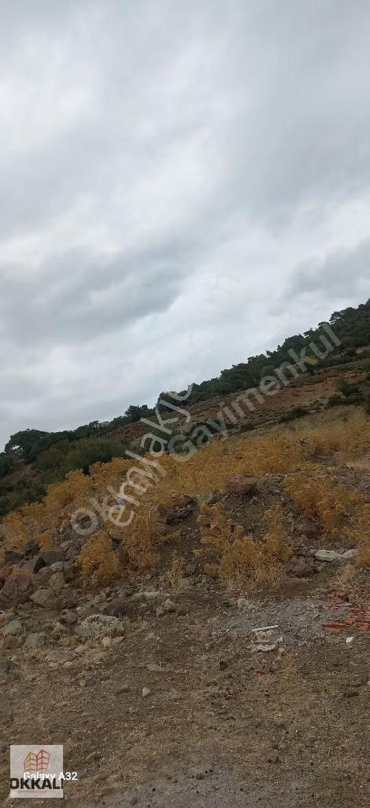 Okkalı Emlak Tan Menemen Hasanlar Da Satılık Arazi - Görsel 9