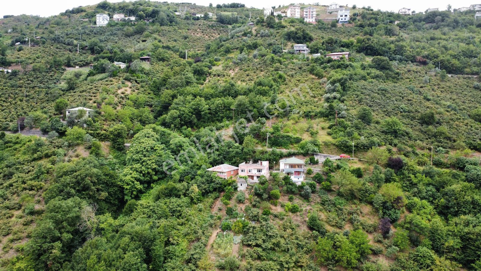 Trabzon Akçakale'de Projeli Arsa (daire Takasına Açık) - Görsel 31
