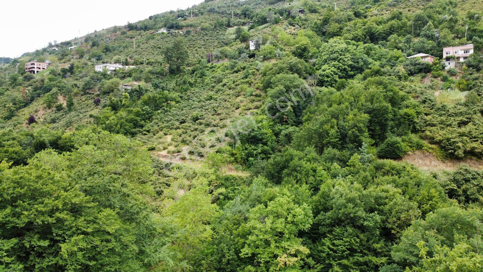 Trabzon Akçakale'de Projeli Arsa (daire Takasına Açık) - Görsel 27