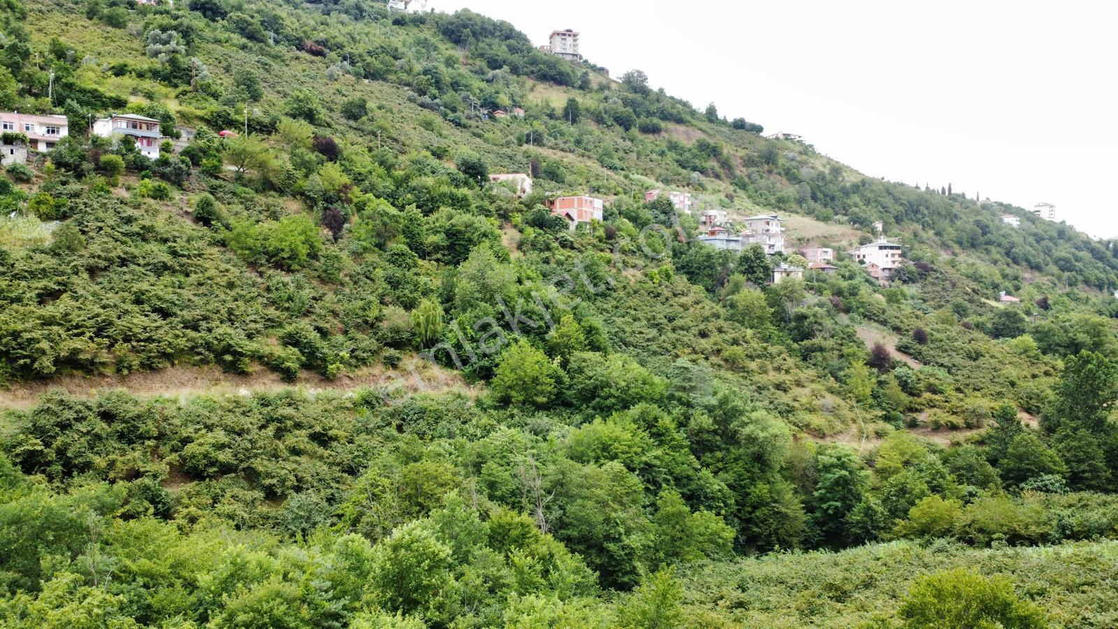 Trabzon Akçakale'de Projeli Arsa (daire Takasına Açık) - Görsel 26