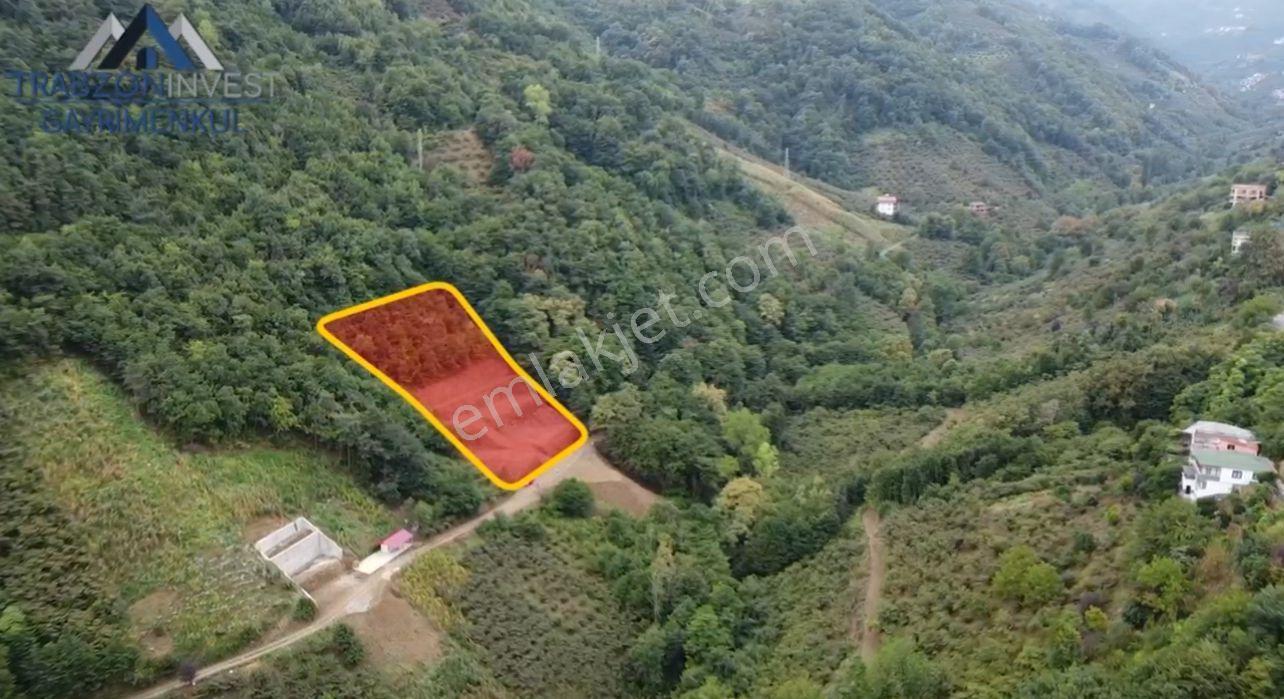 Trabzon Akçakale'de Projeli Arsa (daire Takasına Açık) - Görsel 7