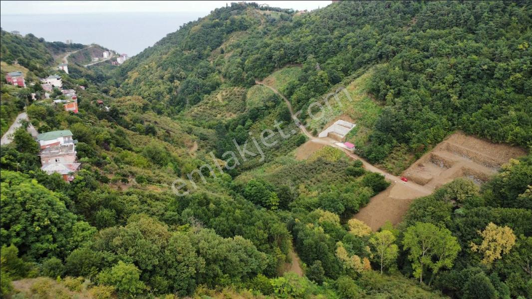 Trabzon Akçakale'de Projeli Arsa (daire Takasına Açık) - Görsel 16