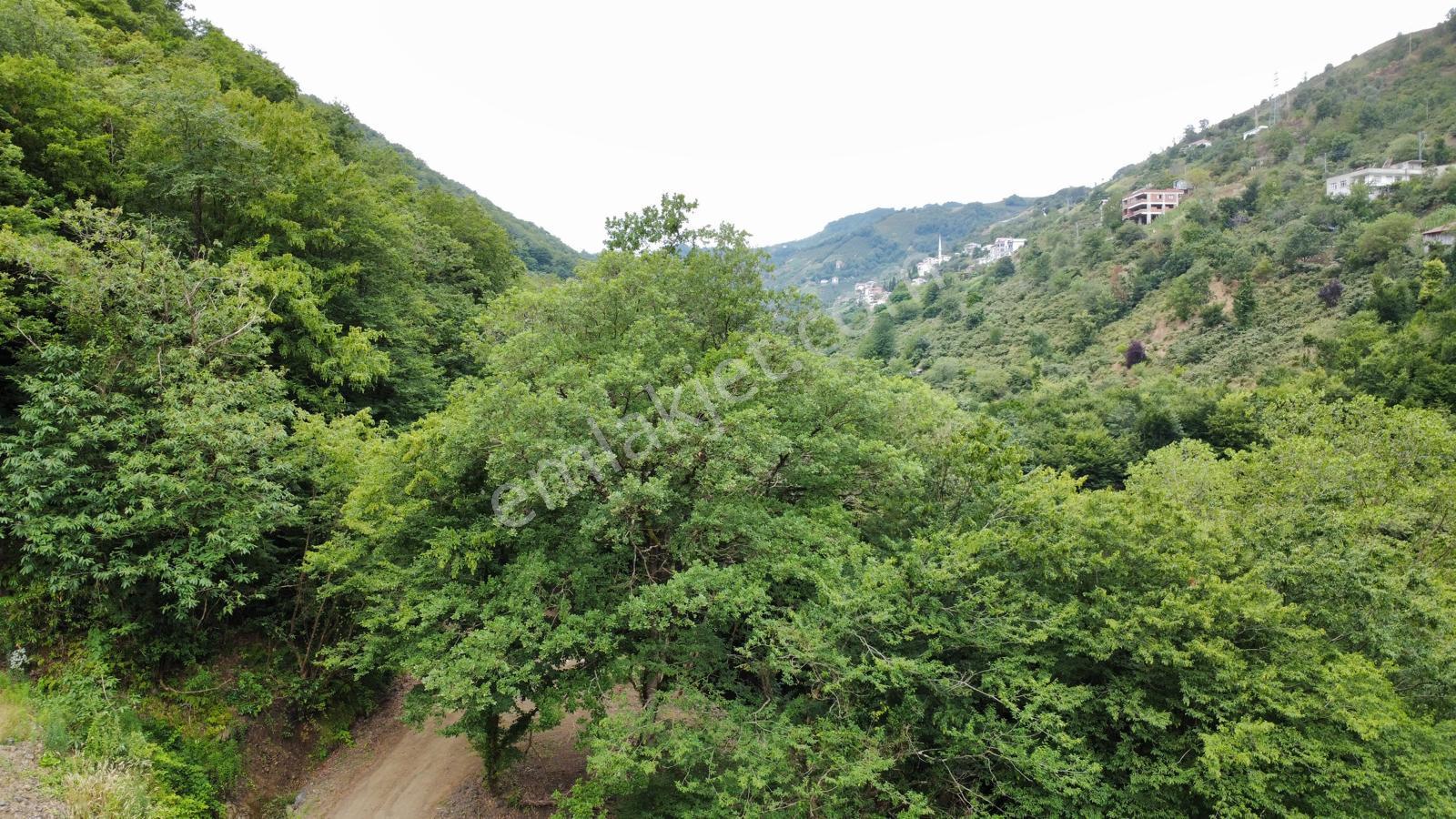 Trabzon'da İki Villalık Projesi Onaylı Arsa (takasa Açık) - Görsel 22