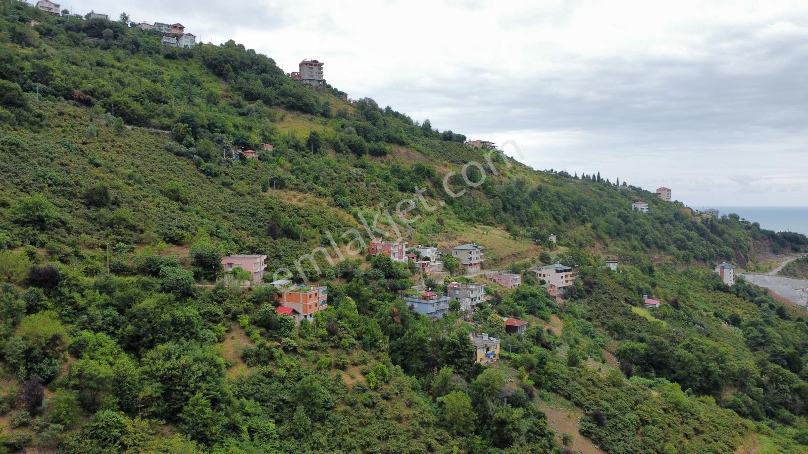 Trabzon'da İki Villalık Projesi Onaylı Arsa (takasa Açık) - Görsel 29