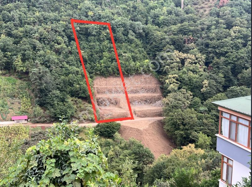 Trabzon'da İki Villalık Projesi Onaylı Arsa (takasa Açık) - Görsel 5
