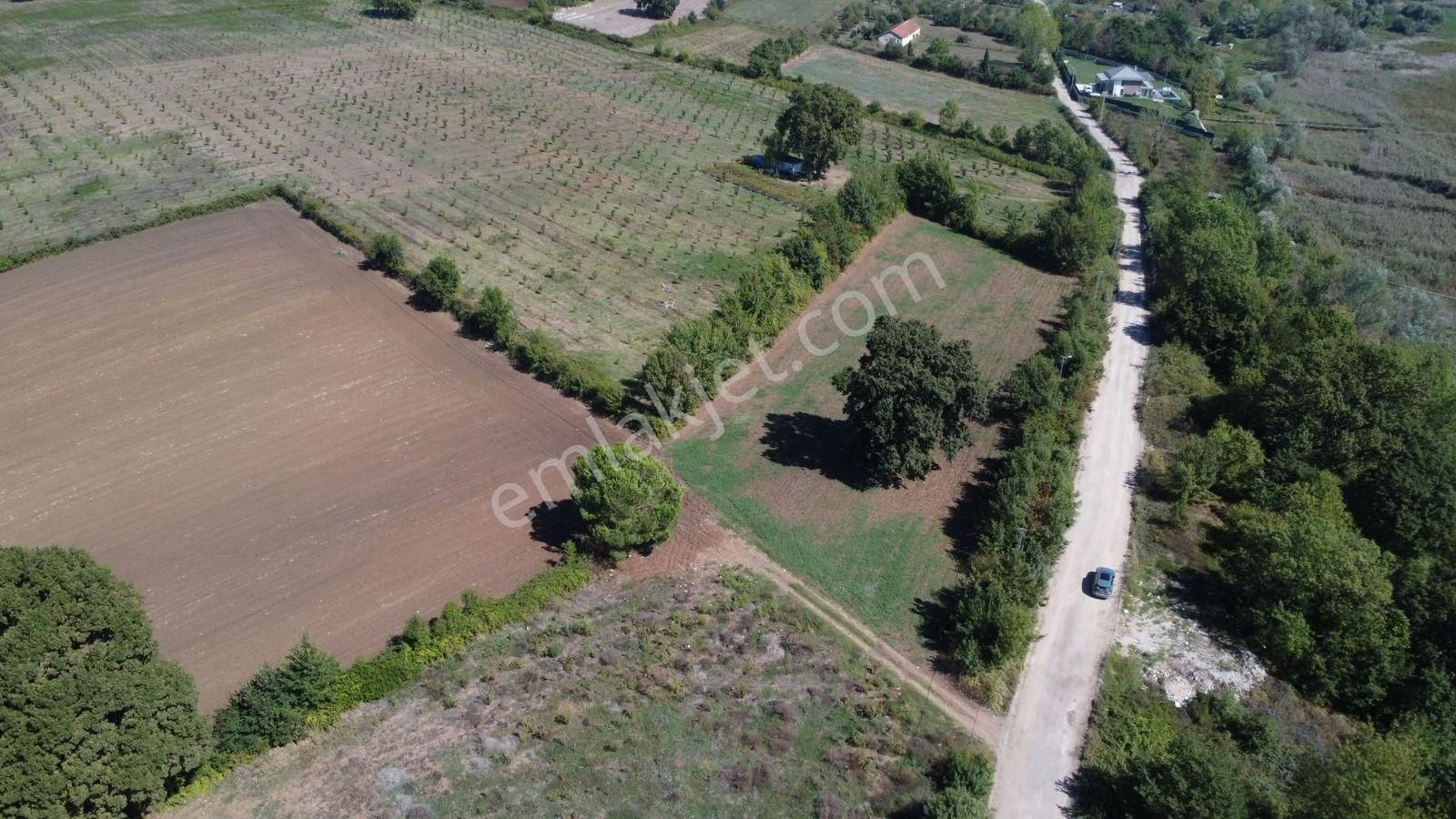 Remax Palas Uzuntarla Sapanca Gölü Kenarı Satılık 2 Parsel Tarla - Görsel 8