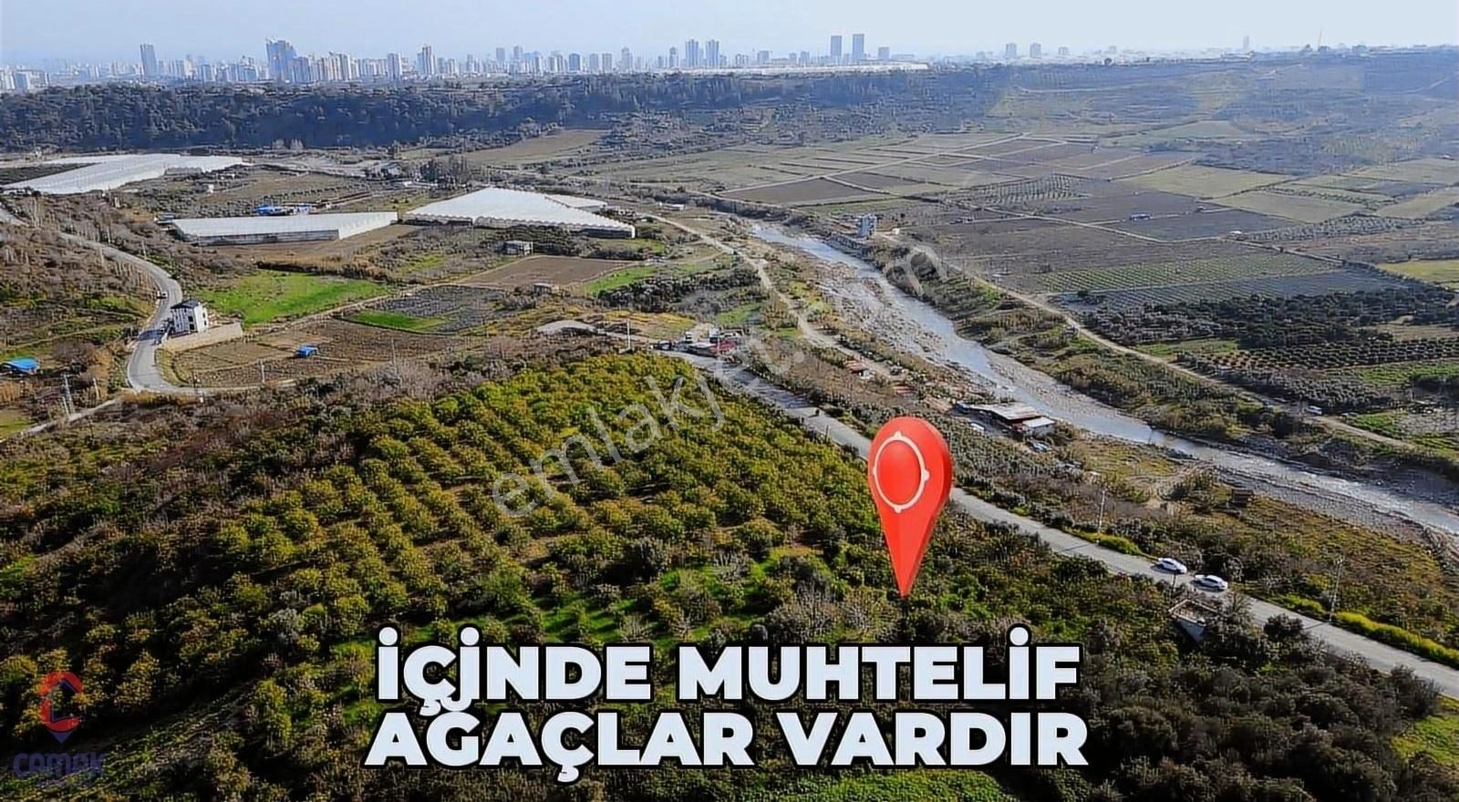 Karaisalı!da Asfalt Yola 58 Metre Cepheli Depo Yapımına Uygun - Görsel 11