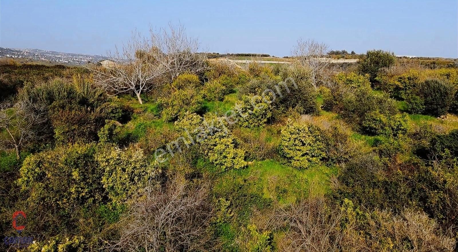 Karaisalı!da Asfalt Yola 58 Metre Cepheli Depo Yapımına Uygun - Görsel 8