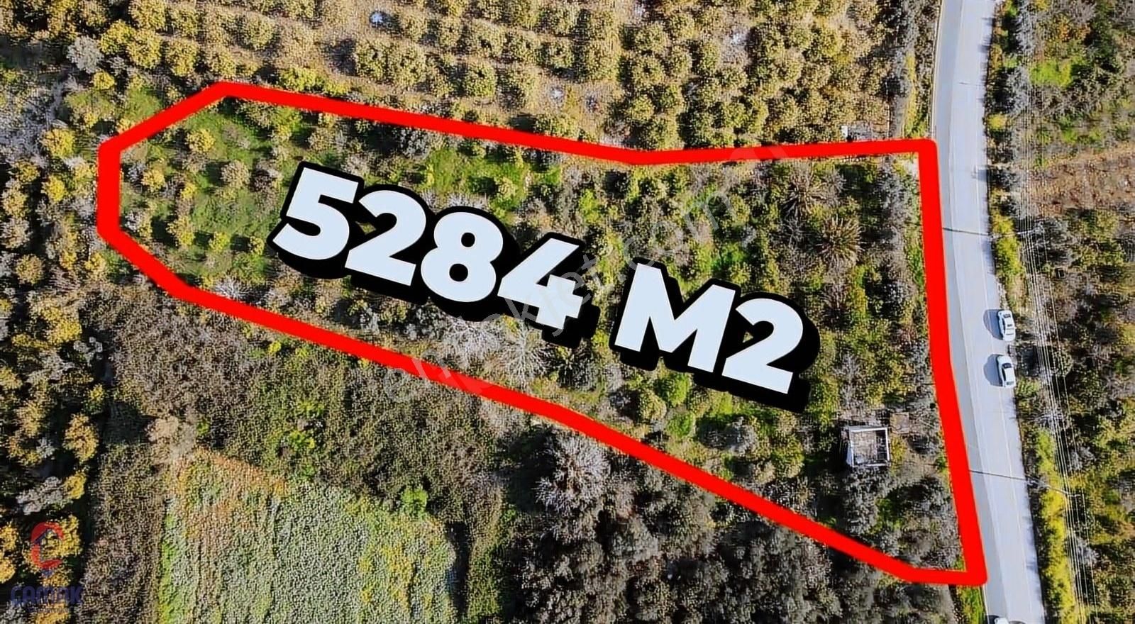 Karaisalı!da Asfalt Yola 58 Metre Cepheli Depo Yapımına Uygun - Görsel 9