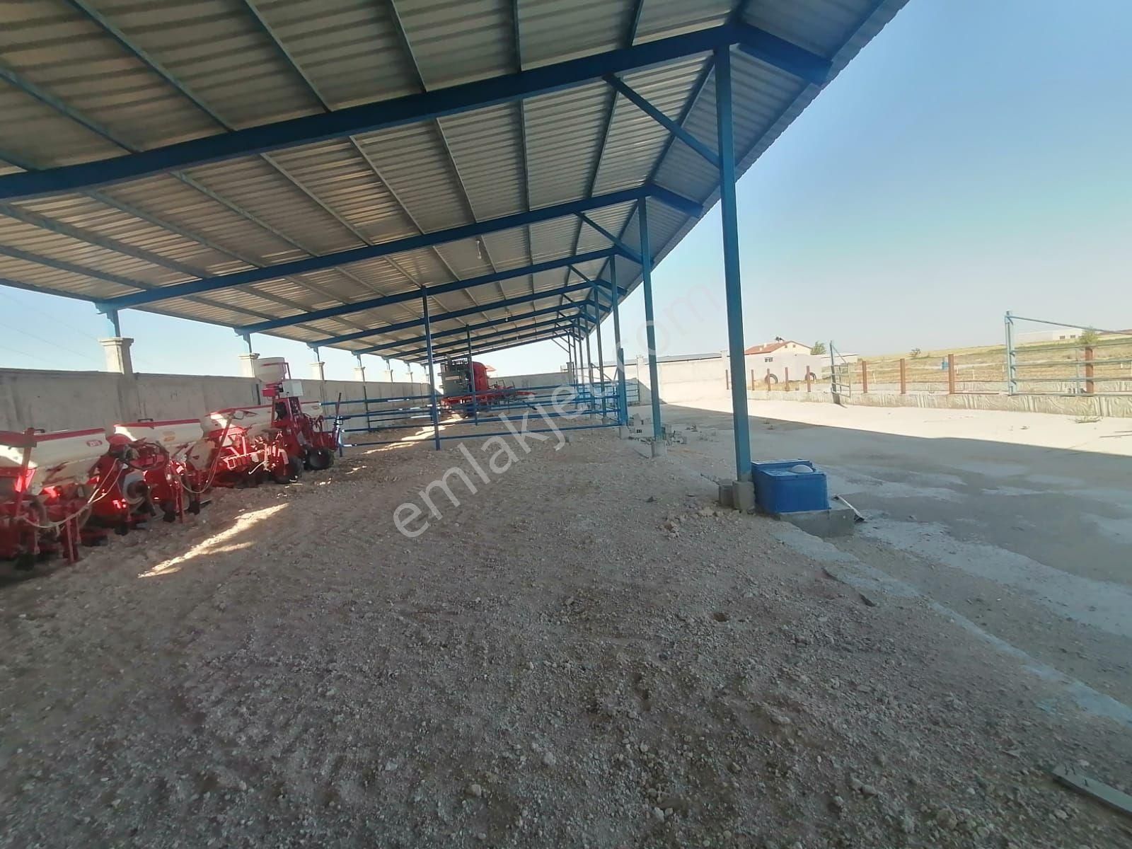Cumra Alibeyhüyüğün De Satılık Ciflik - Görsel 7