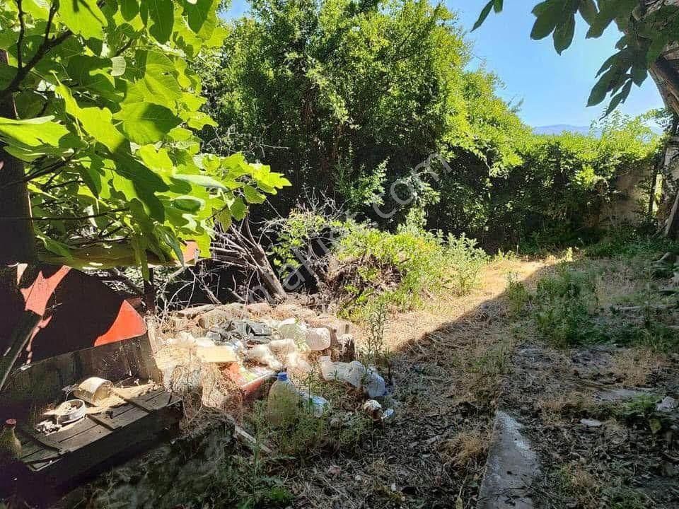 Aydın / Karacasu / Yaylalı Mahallesinde Satılık 3 Tapulu Fırsat Bahçe