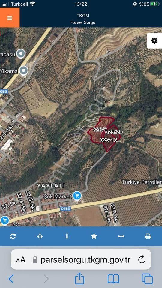 Aydın / Karacasu / Yaylalı Mahallesinde Satılık 3 Tapulu Fırsat Bahçe - Görsel 9