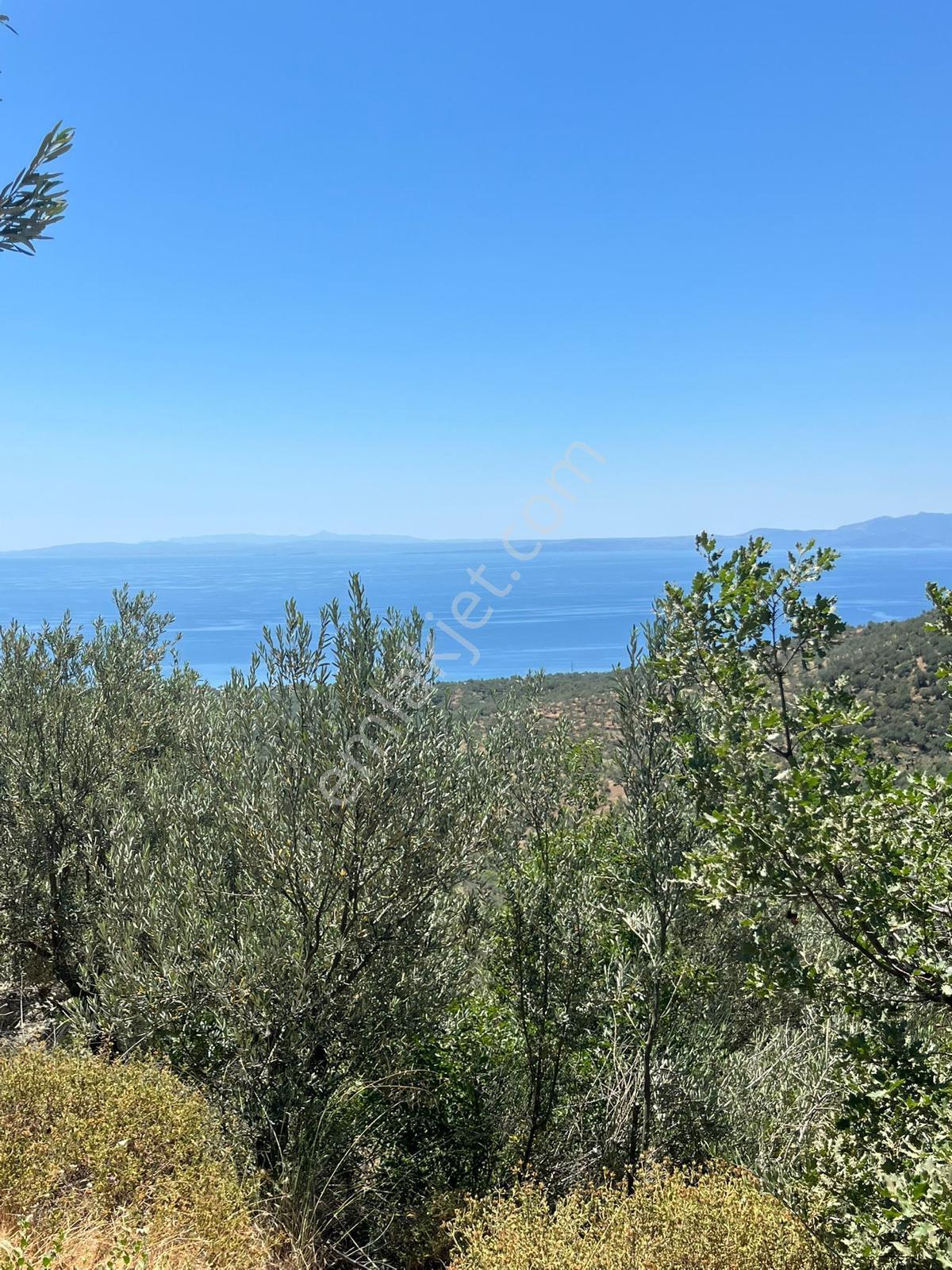 📍 Çanakkale / Ayvacık / Ahmetçe Köyü - Görsel 13