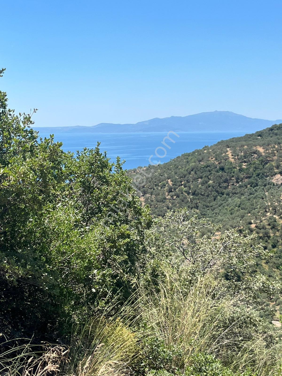 📍 Çanakkale / Ayvacık / Ahmetçe Köyü - Görsel 18