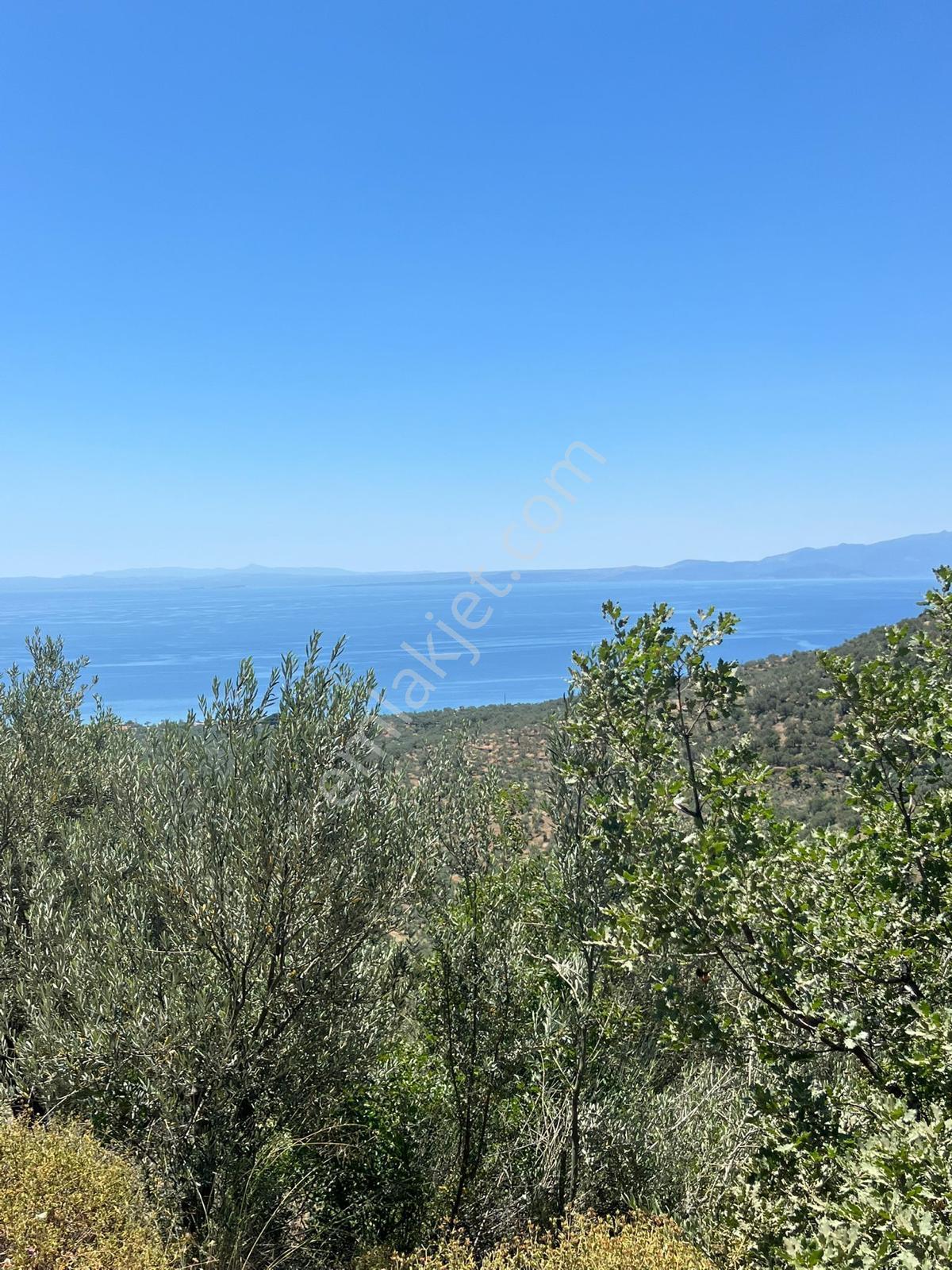 📍 Çanakkale / Ayvacık / Ahmetçe Köyü - Görsel 12