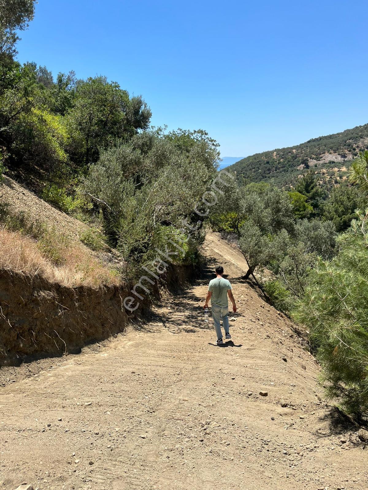 📍 Çanakkale / Ayvacık / Ahmetçe Köyü - Görsel 6