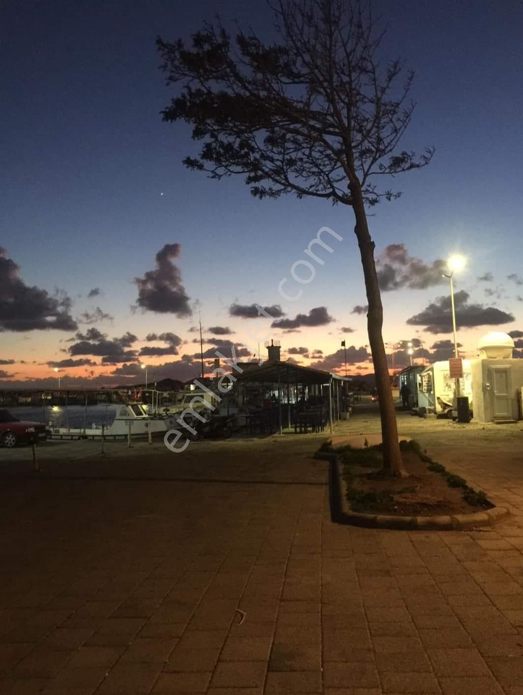 Milas Söğütçük Satılık Tarla - Görsel 8