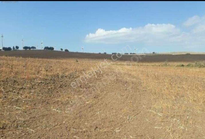 Üvecik Köyü 216 Dönüm 500 Ticari Arazi Her Türlü Kurabilirsiniz Krediye Çok Uygun