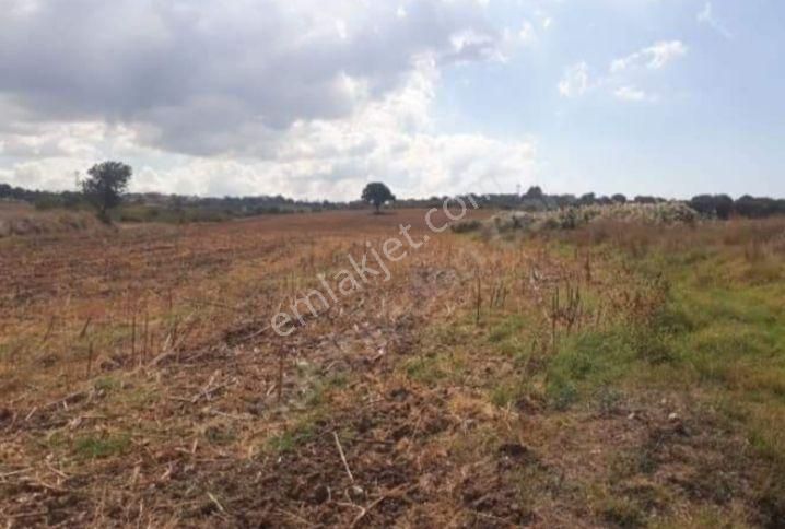 Üvecik Köyü 216 Dönüm 500 Ticari Arazi Her Türlü Kurabilirsiniz Krediye Çok Uygun - Görsel 4