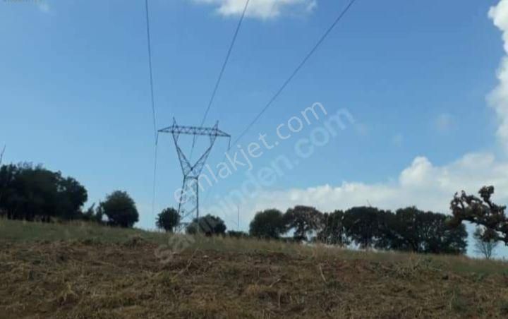 Üvecik Köyü 216 Dönüm 500 Ticari Arazi Her Türlü Kurabilirsiniz Krediye Çok Uygun - Görsel 7