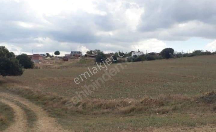 Üvecik Köyü 216 Dönüm 500 Ticari Arazi Her Türlü Kurabilirsiniz Krediye Çok Uygun - Görsel 8