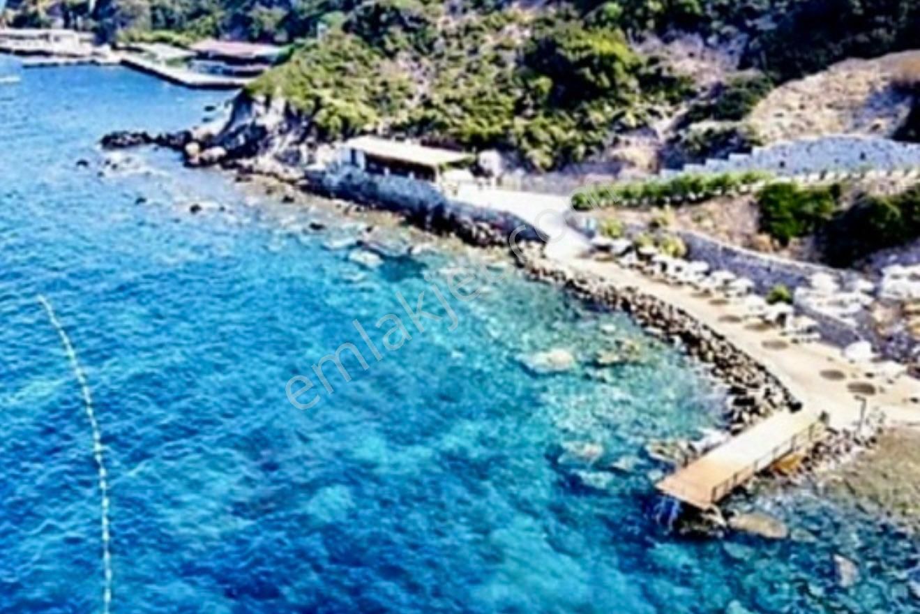 Gümüşlük Yalıkavak Özel Plajlı Eşsiz Manzaralı Villa - Görsel 2