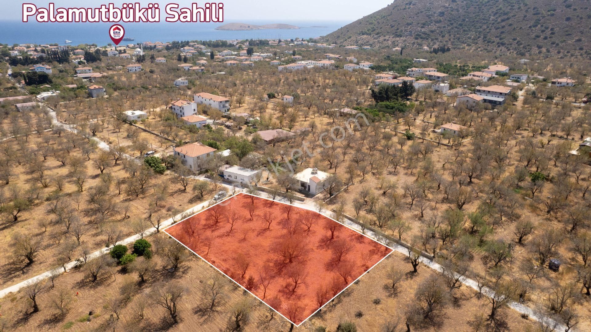Datça Palamutbükü'nde Yola Sıfır Satılık 1.643m2 Bademlik Tarla
