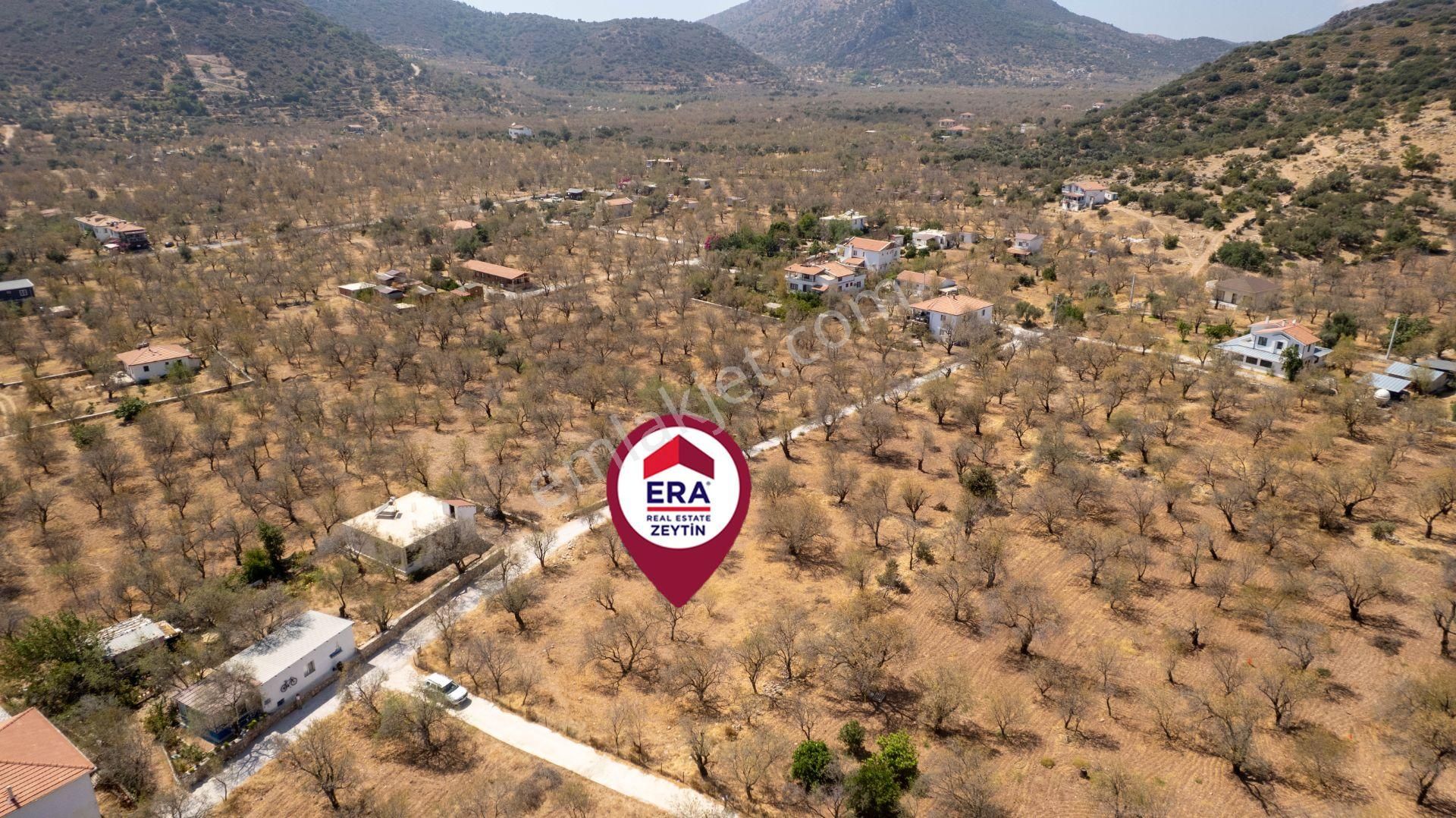 Datça Palamutbükü'nde Yola Sıfır Satılık 1.643m2 Bademlik Tarla - Görsel 8